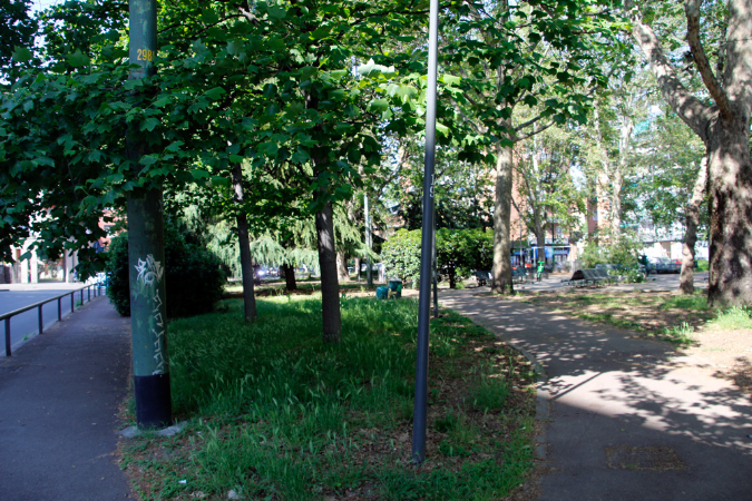 _MG_0016