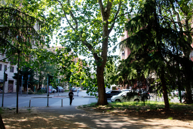 _MG_0035