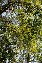 _MG_0025p