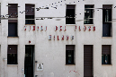 _MG_0015