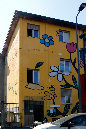 _MG_0062