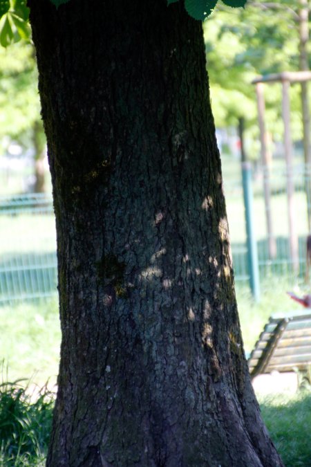 _MG_00250x