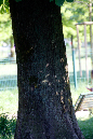 _MG_00250x