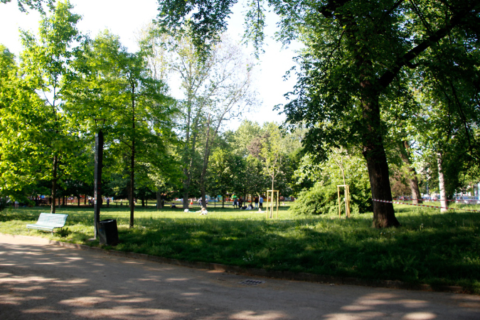 _MG_0017