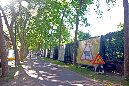 _MG_0062