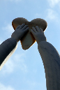 _MG_00340