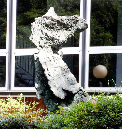 _MG_0019