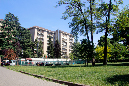 _MG_0016