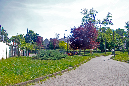 _MG_0018