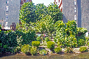 _MG_0054